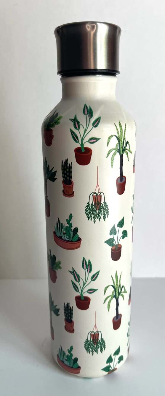 OCS Designs House Plants Stainless Steel Water Bottle 17 oz